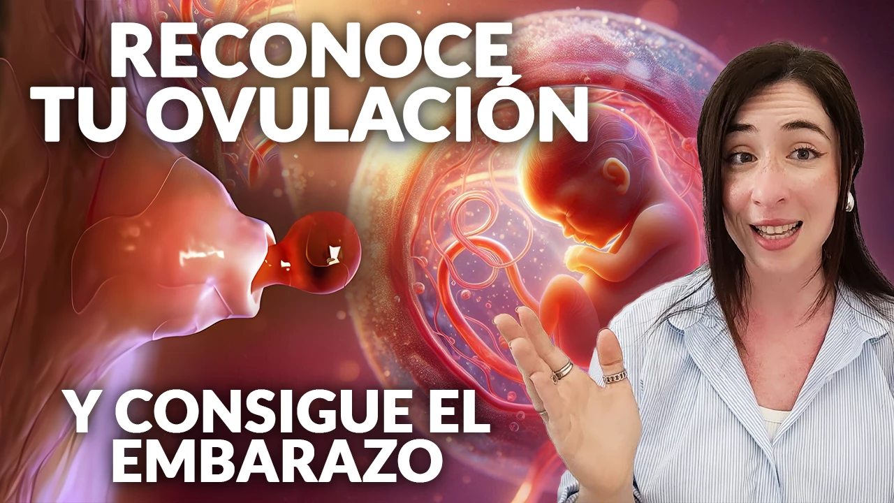 Qué es la Ovulación: 6 Formas de Reconocerla y Mejorar tu Fertilidad