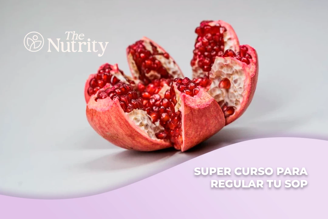 Portada de Curso Online: Todo lo que necesitas para regular tu Síndrome de Ovario Poliquístico